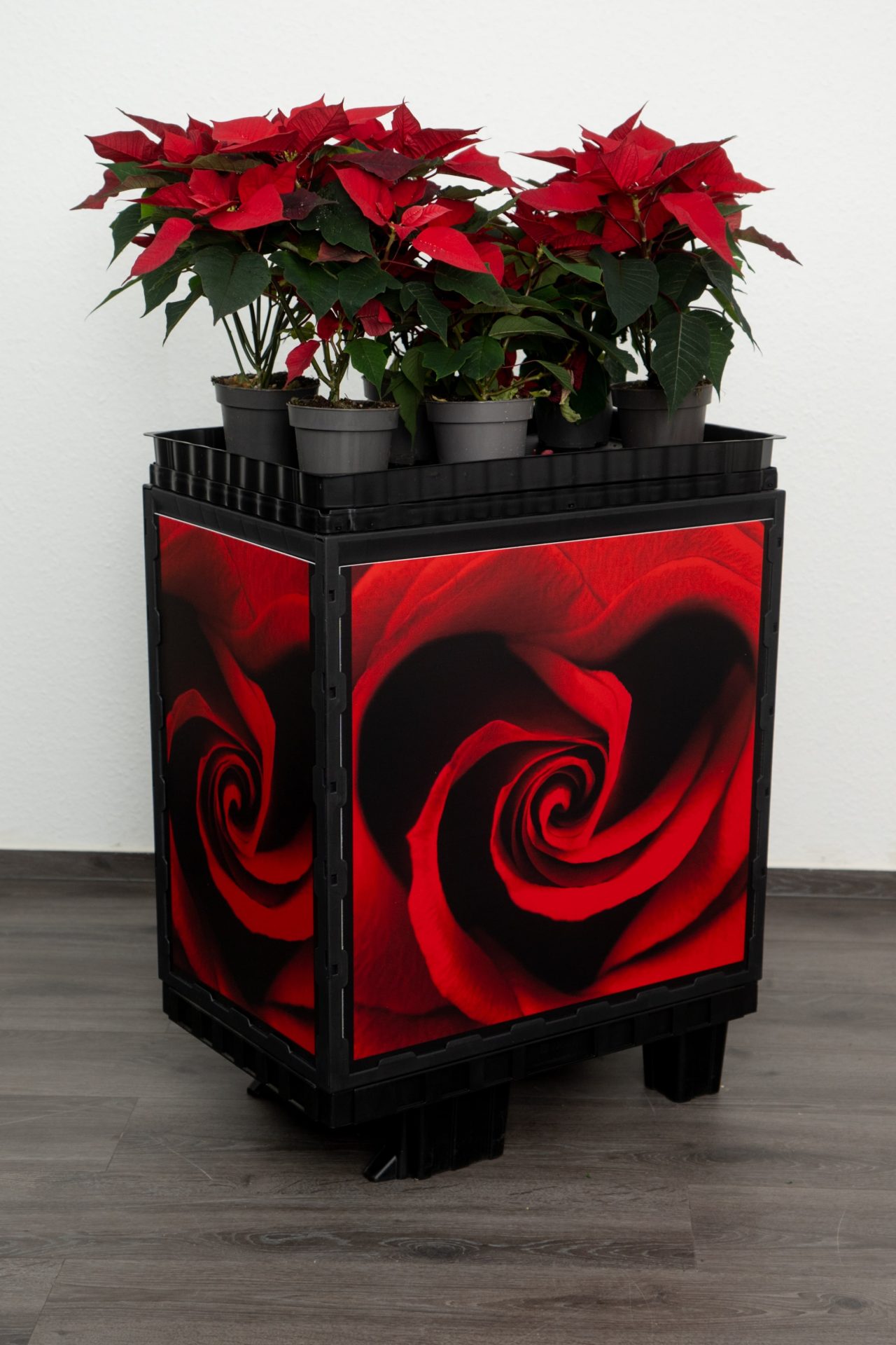 Flower Tray - Black 60x40 - branded
